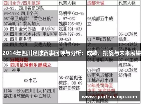 2014年四川足球赛事回顾与分析：成绩、挑战与未来展望